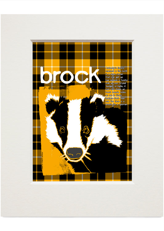 Brock oan tartan – small mounted print