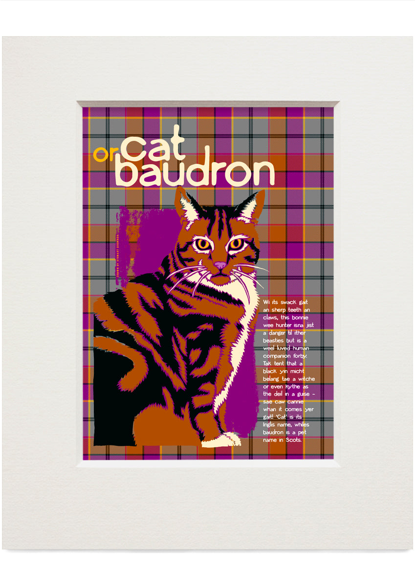 Cat or baudron oan tartan – small mounted print