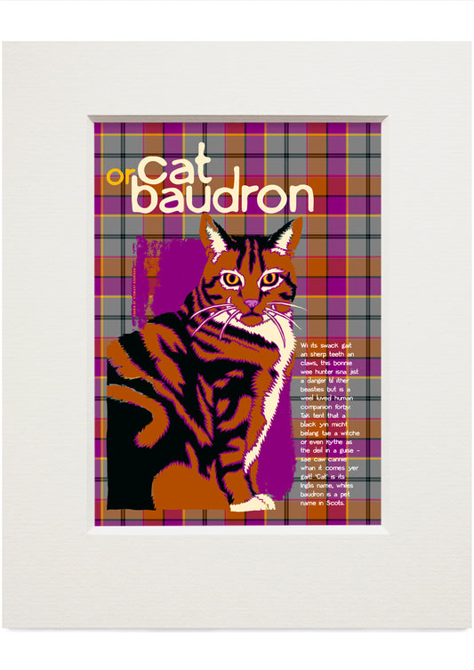 Cat or baudron oan tartan – small mounted print