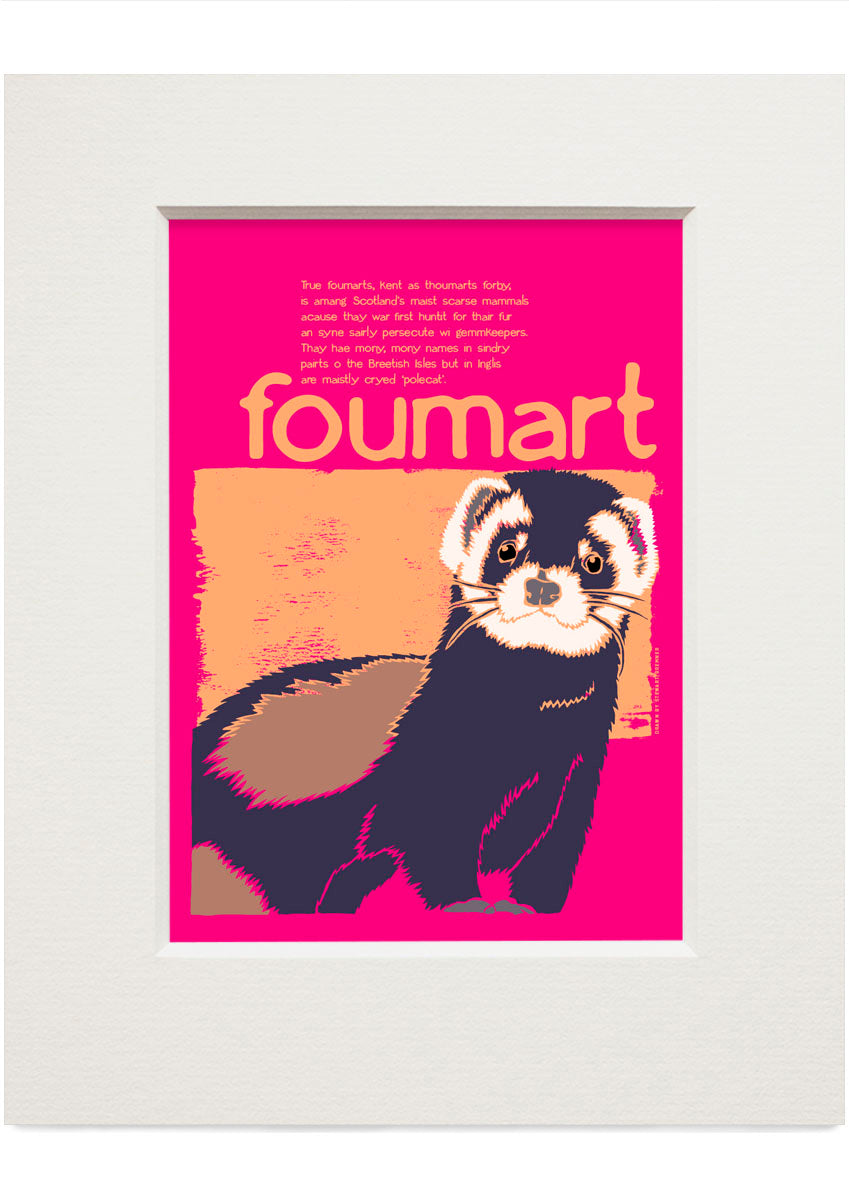Foumart – small mounted print