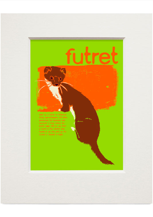 Futret – small mounted print
