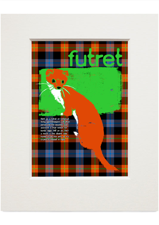 Futret oan tartan – small mounted print