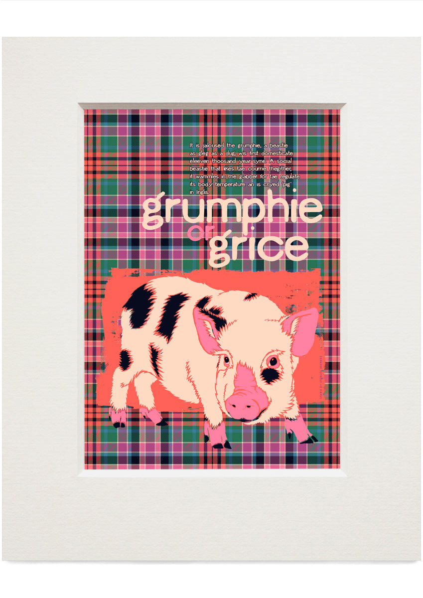 Grumphie or grice oan tartan – small mounted print
