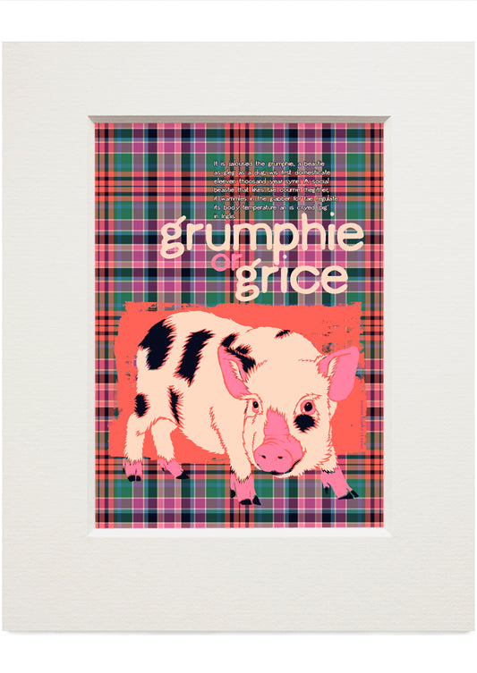 Grumphie or grice oan tartan – small mounted print