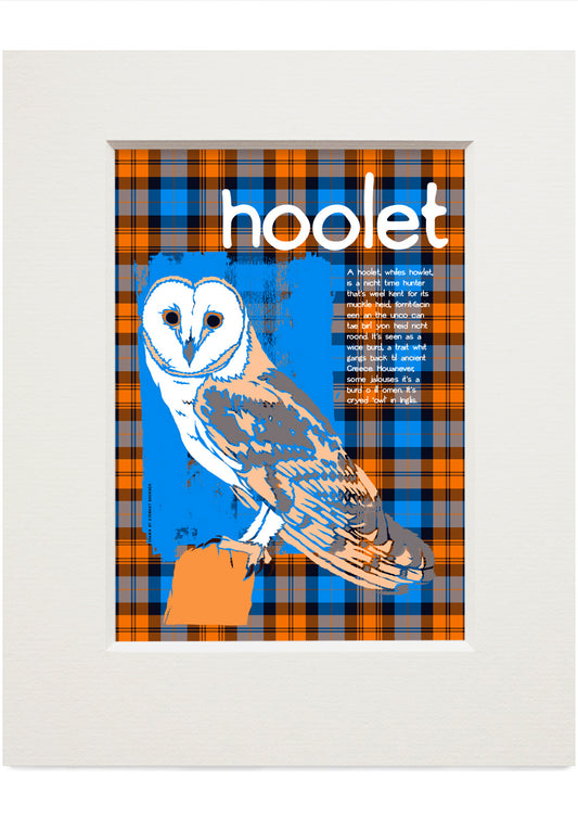 Hoolet oan tartan – small mounted print
