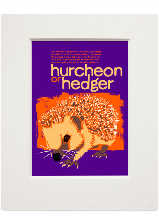 Hurcheon or hedger – small mounted print