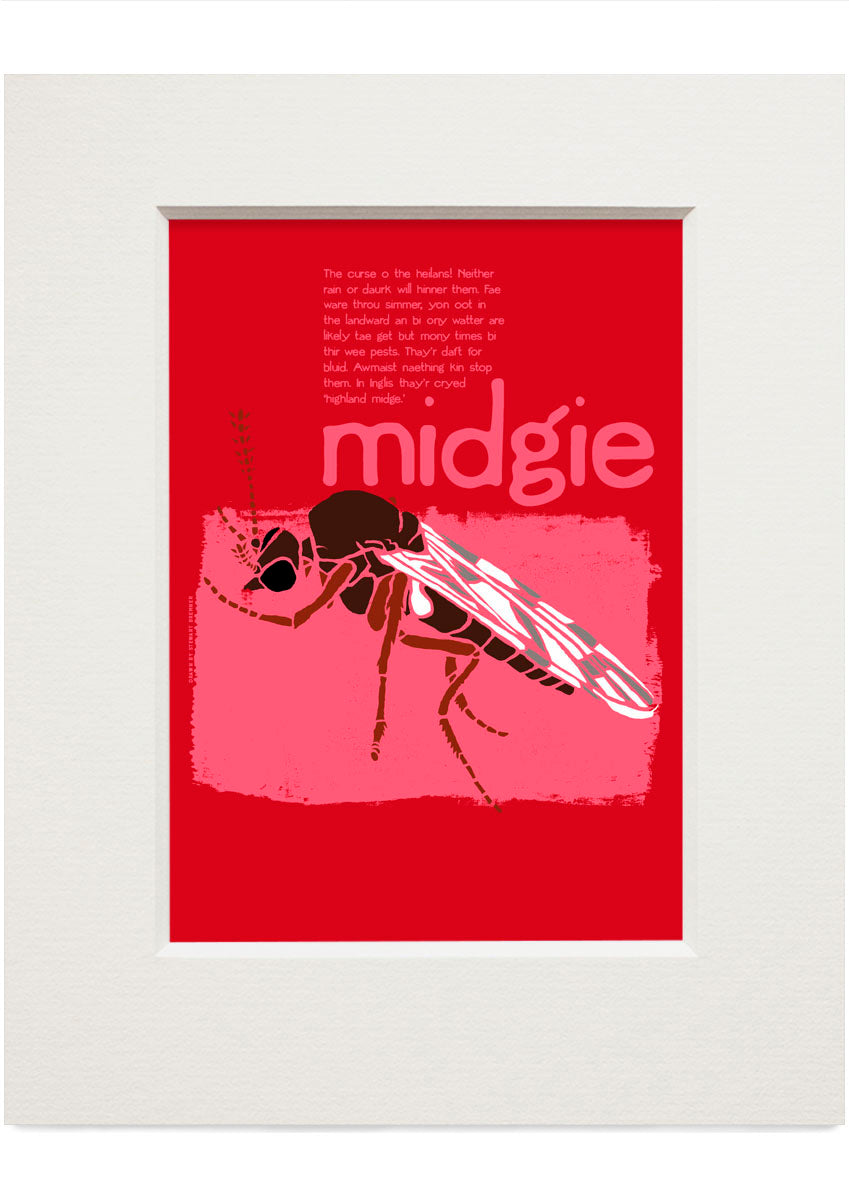 Midgie – small mounted print