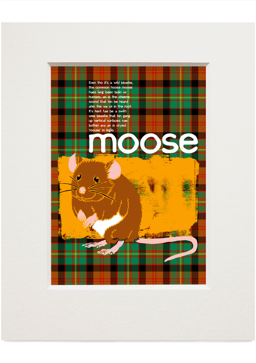 Moose oan tartan – small mounted print