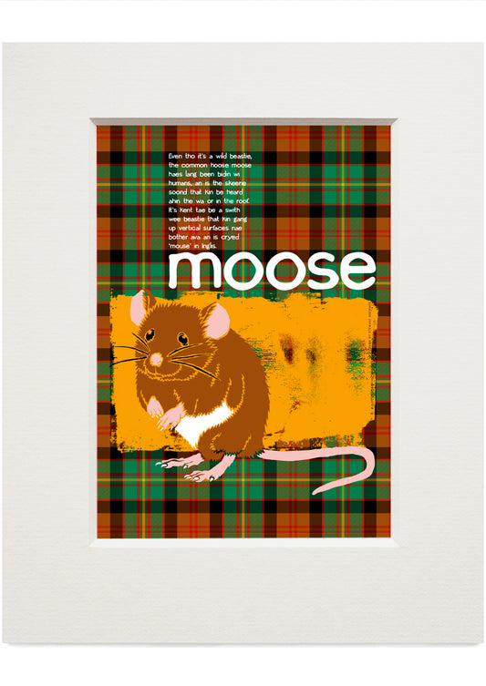 Moose oan tartan – small mounted print