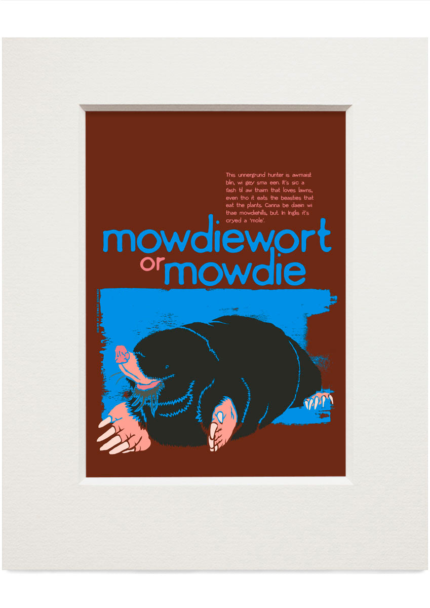 Mowdiewort or mowdie – small mounted print