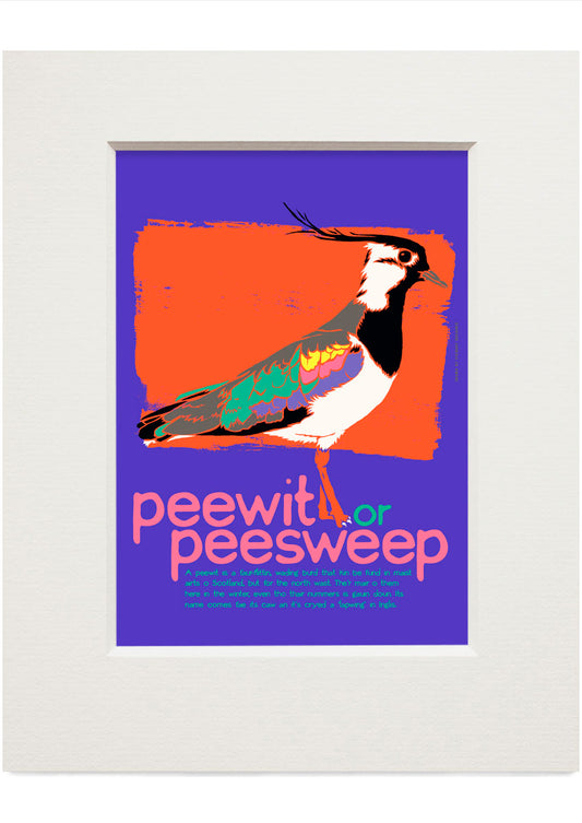 Peewit or peesweep – small mounted print