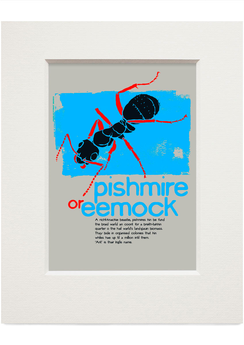Pishmire or eemock – small mounted print