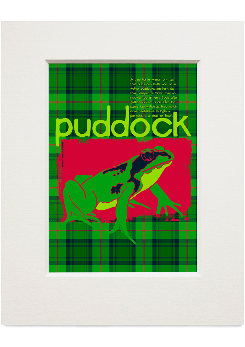 Puddock oan tartan – small mounted print