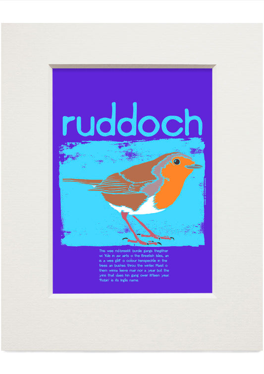 Ruddoch – small mounted print