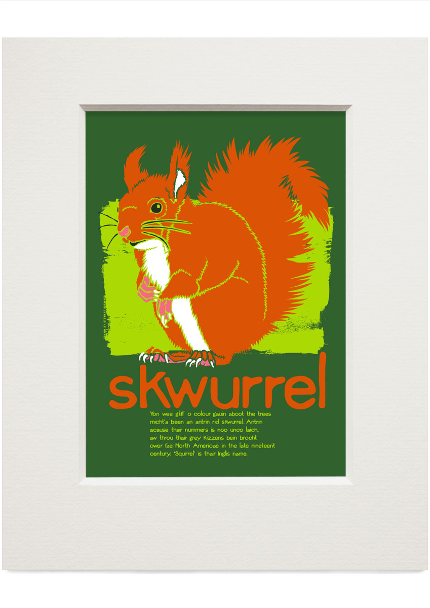 Skwurrel (green) – small mounted print