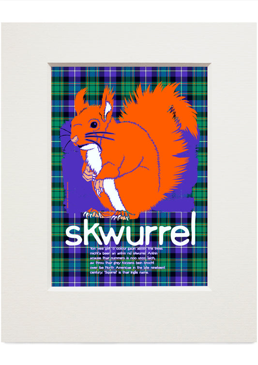 Skwurrel oan tartan (blue) – small mounted print