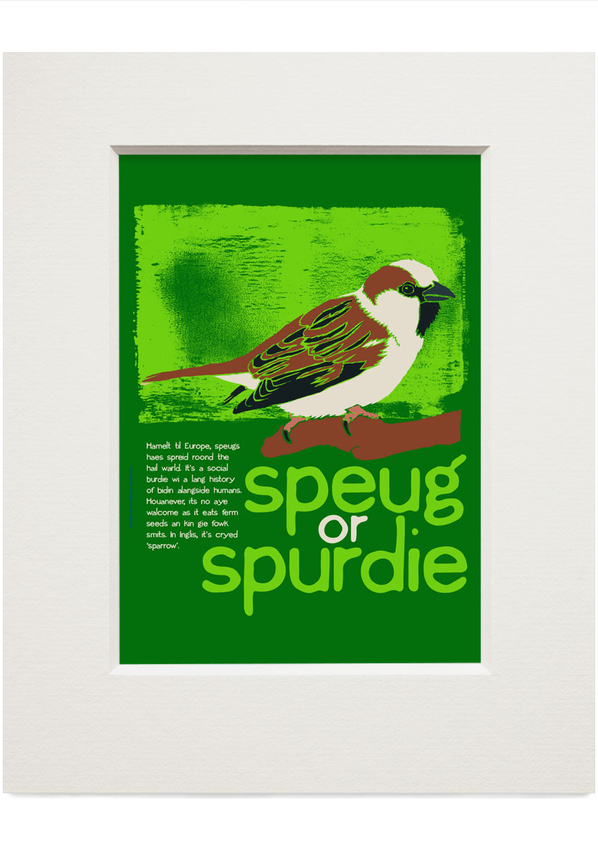 Speug or spurdie – small mounted print