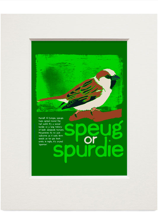 Speug or spurdie – small mounted print