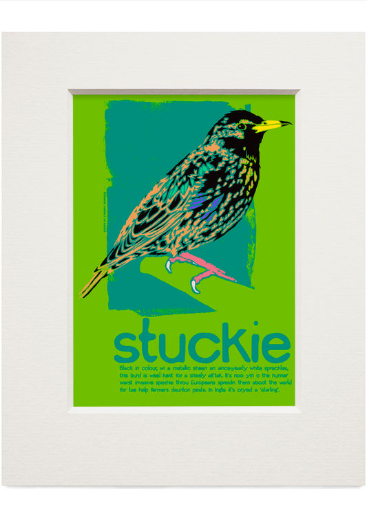 Stuckie – small mounted print