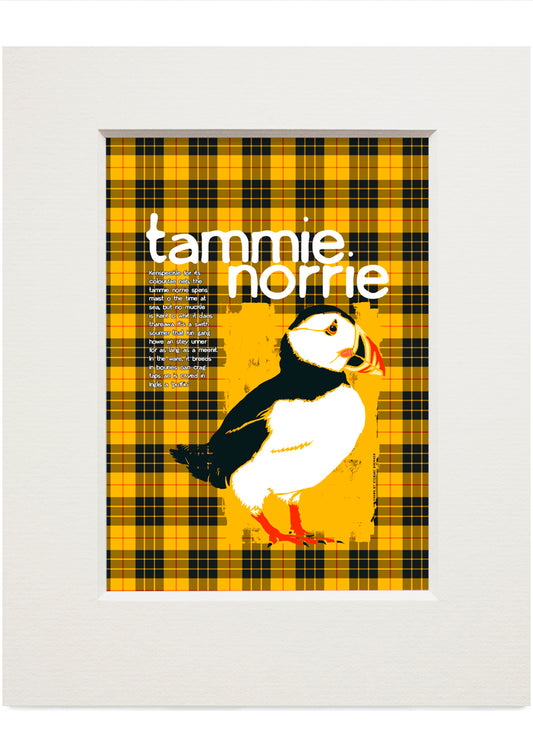 Tammie norrie oan tartan (yellae) – small mounted print
