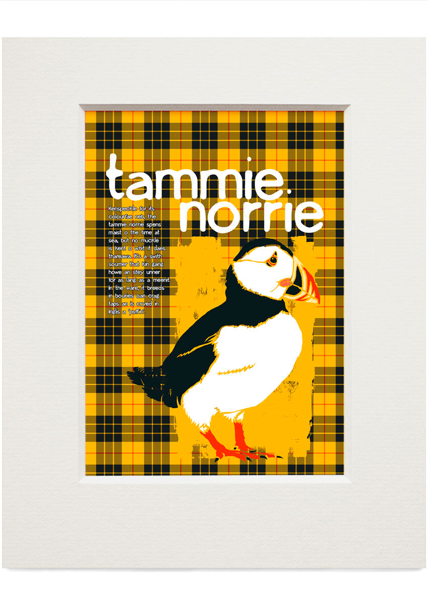 Tammie norrie oan tartan (yellae) – small mounted print