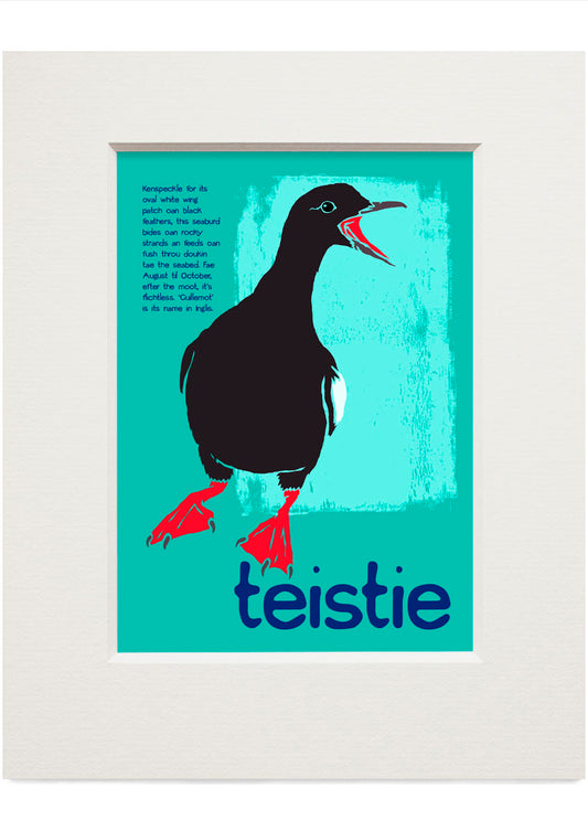 Teistie – small mounted print