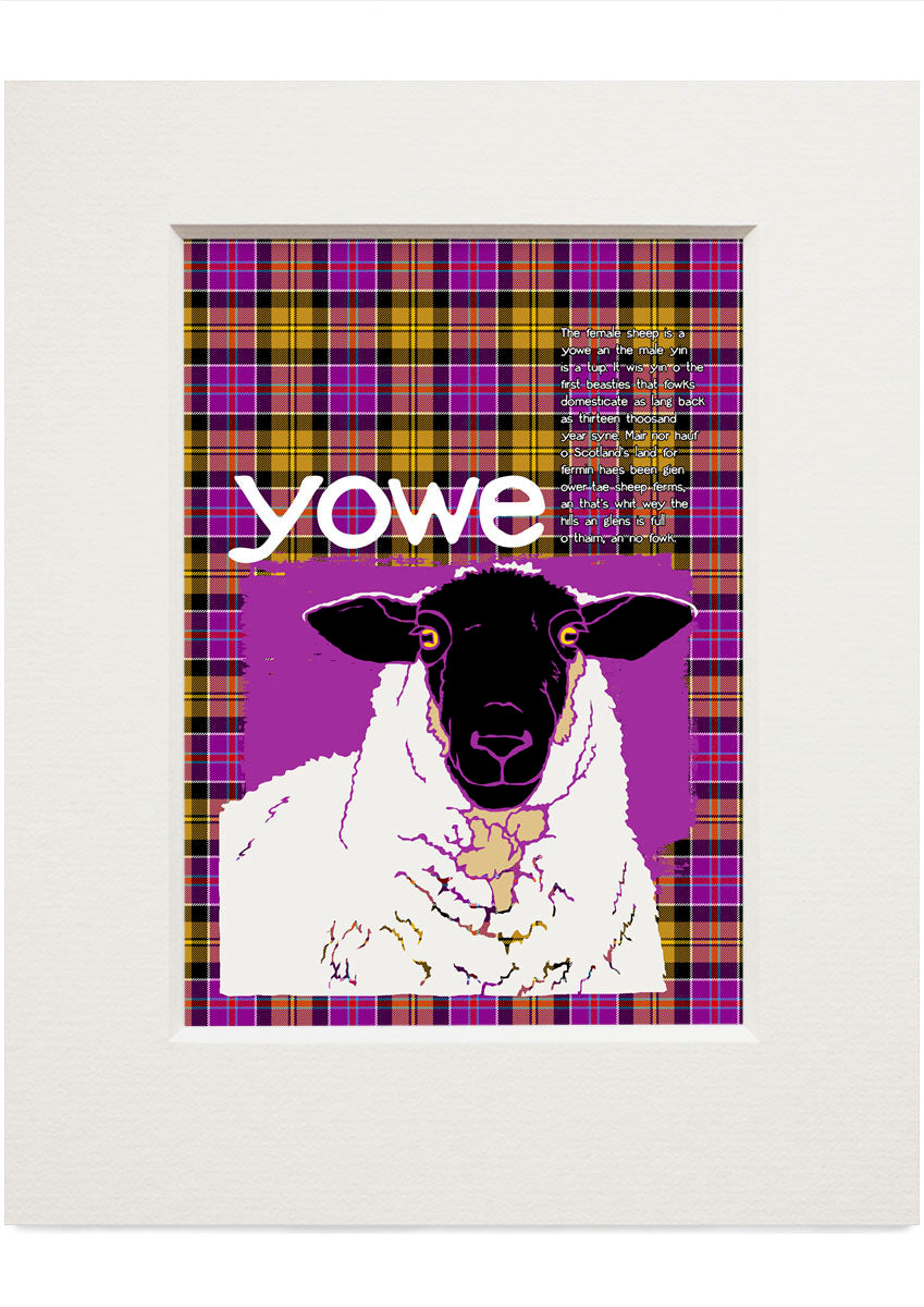 Yowe oan tartan (purpie) – small mounted print
