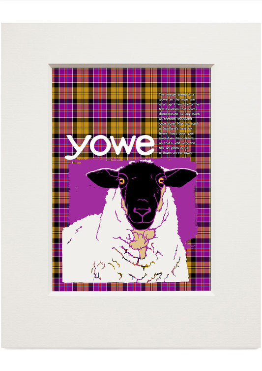 Yowe oan tartan (purpie) – small mounted print