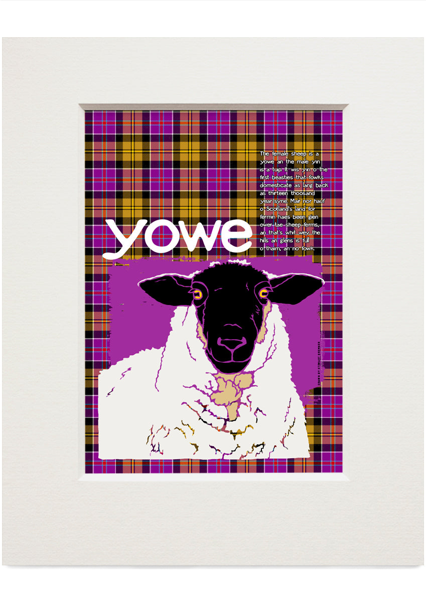 Yowe oan tartan (purpie) – small mounted print