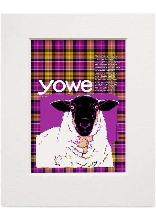 Yowe oan tartan (purpie) – small mounted print
