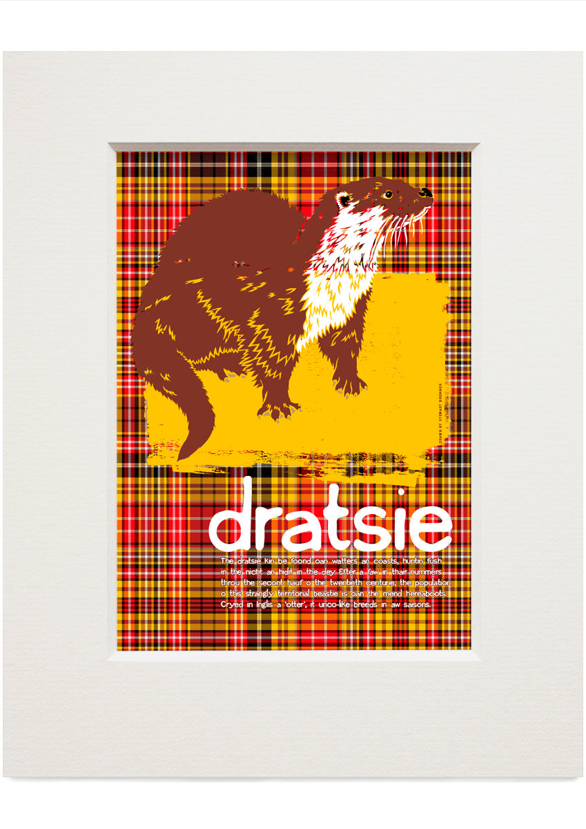 Dratsie oan tartan – small mounted print