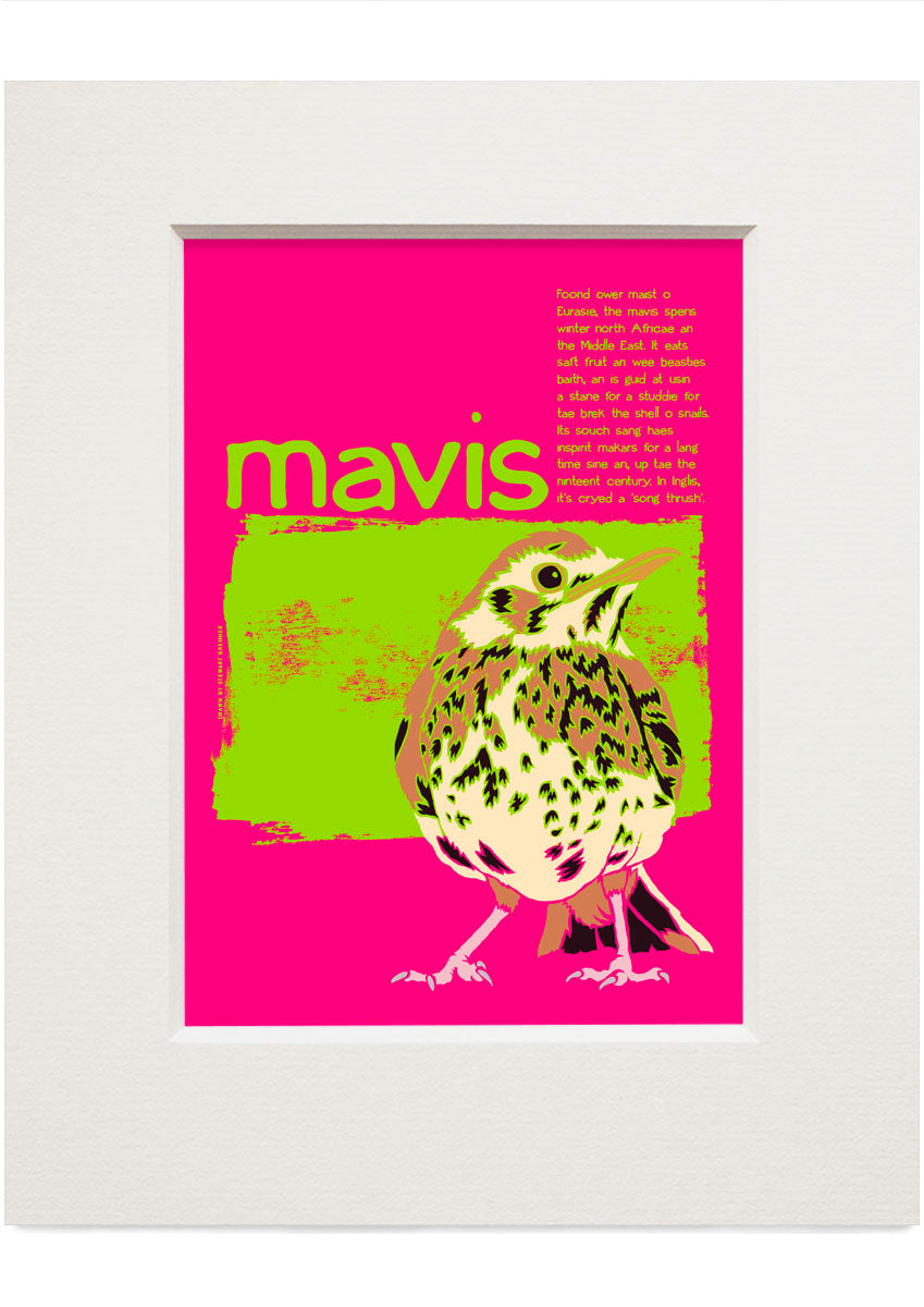 Mavis – small mounted print