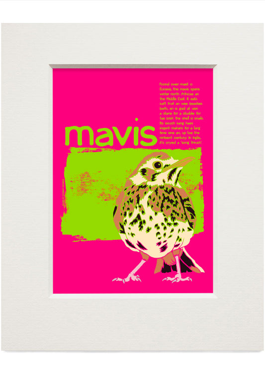 Mavis – small mounted print
