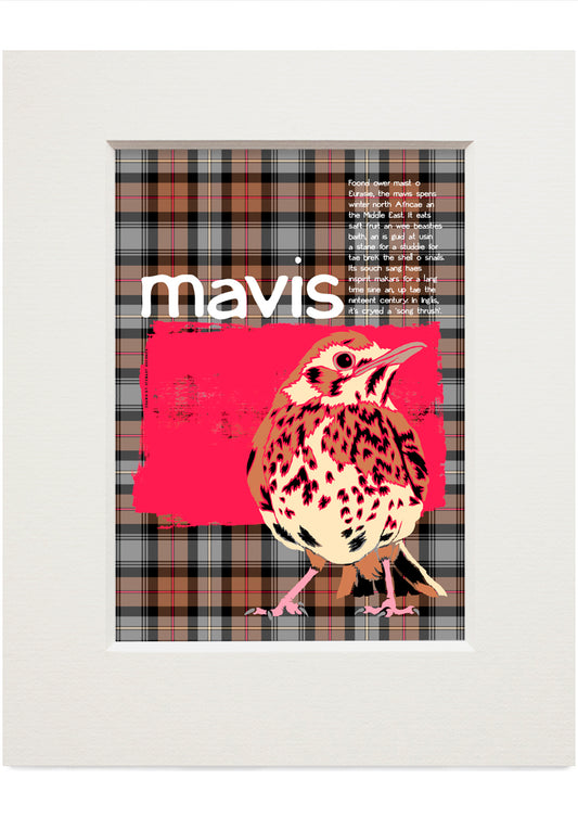 Mavis oan tartan – small mounted print