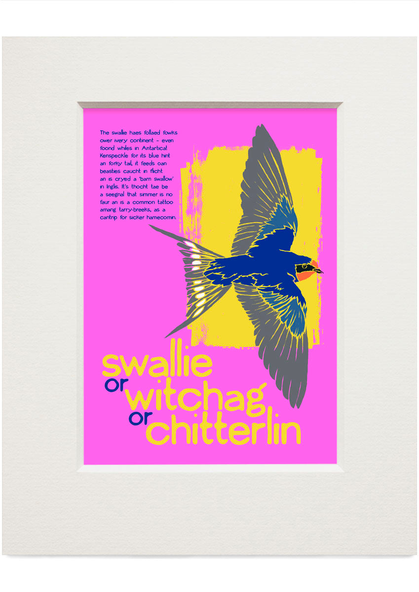 Swallie or witchag or chitterlin (pink) – small mounted print
