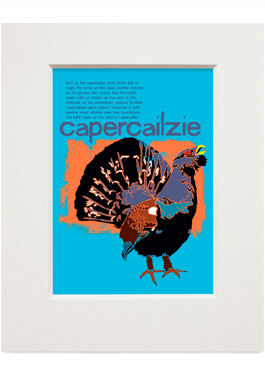 Capercailzie – small mounted print