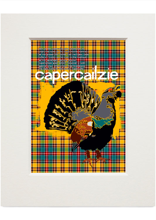 Capercailzie oan tartan – small mounted print