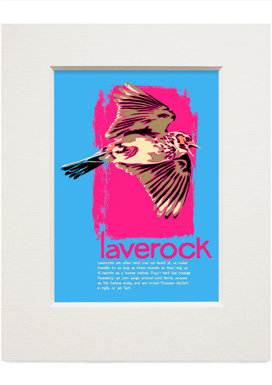 Laverock – small mounted print