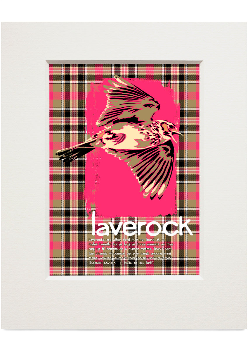 Laverock oan tartan – small mounted print