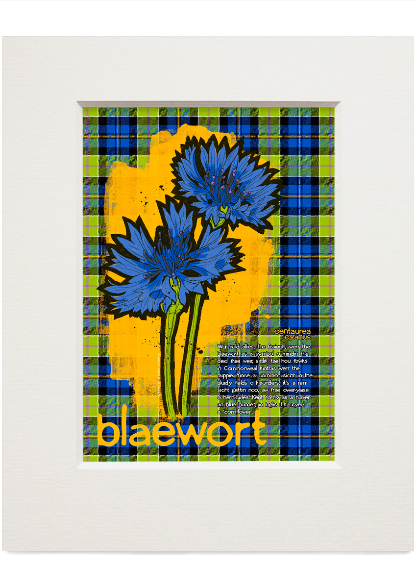 Blaewort oan tartan – small mounted print