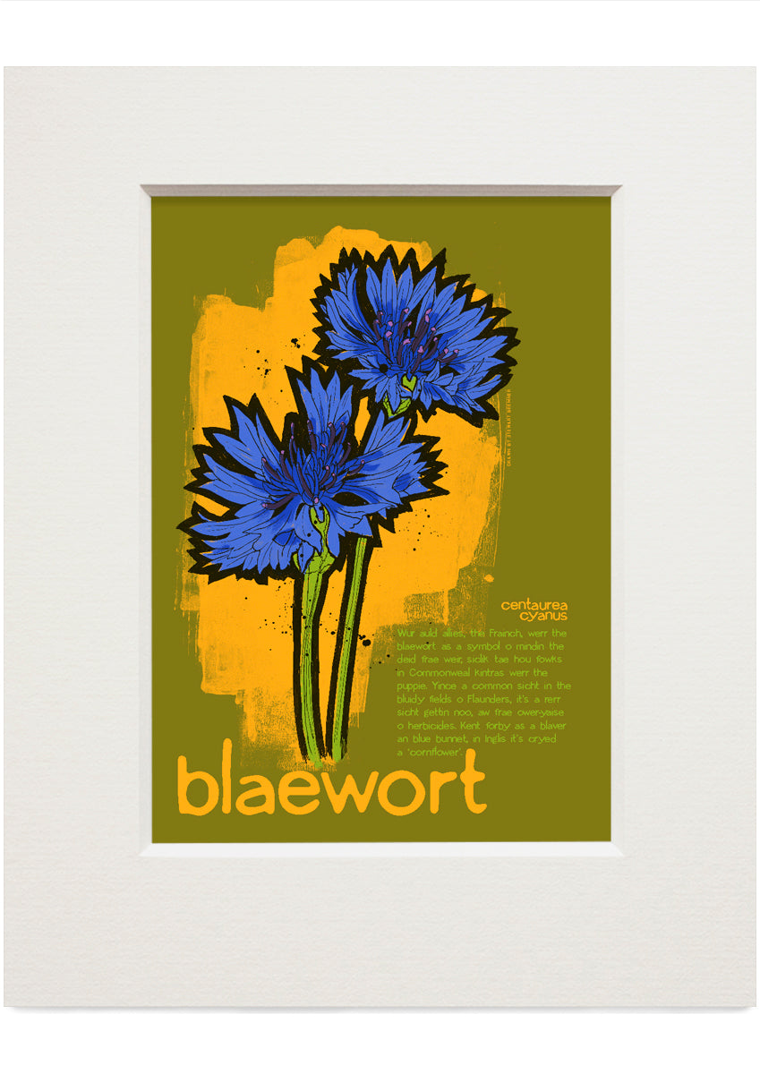 Blaewort – small mounted print