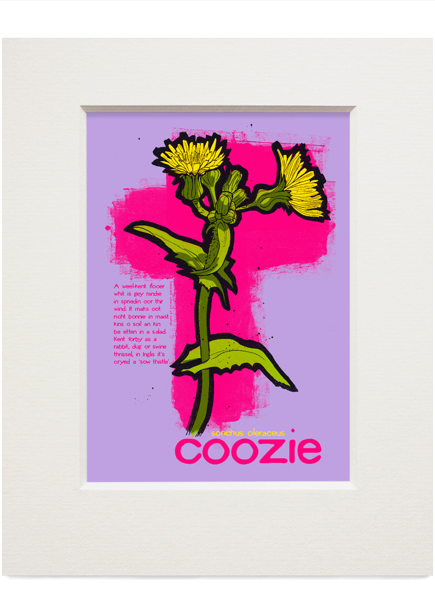 Coozie – small mounted print