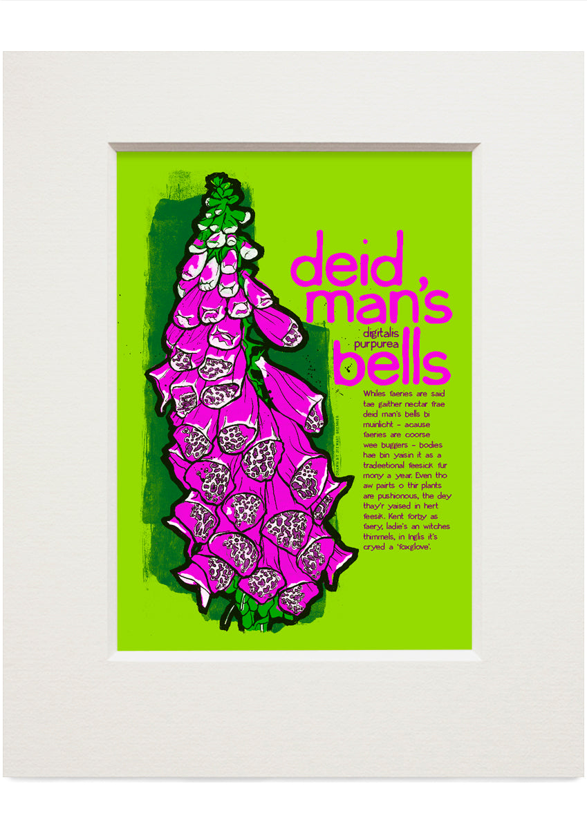 Deid man's bells – small mounted print