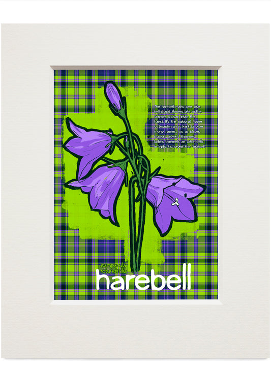Harebell oan tartan – small mounted print