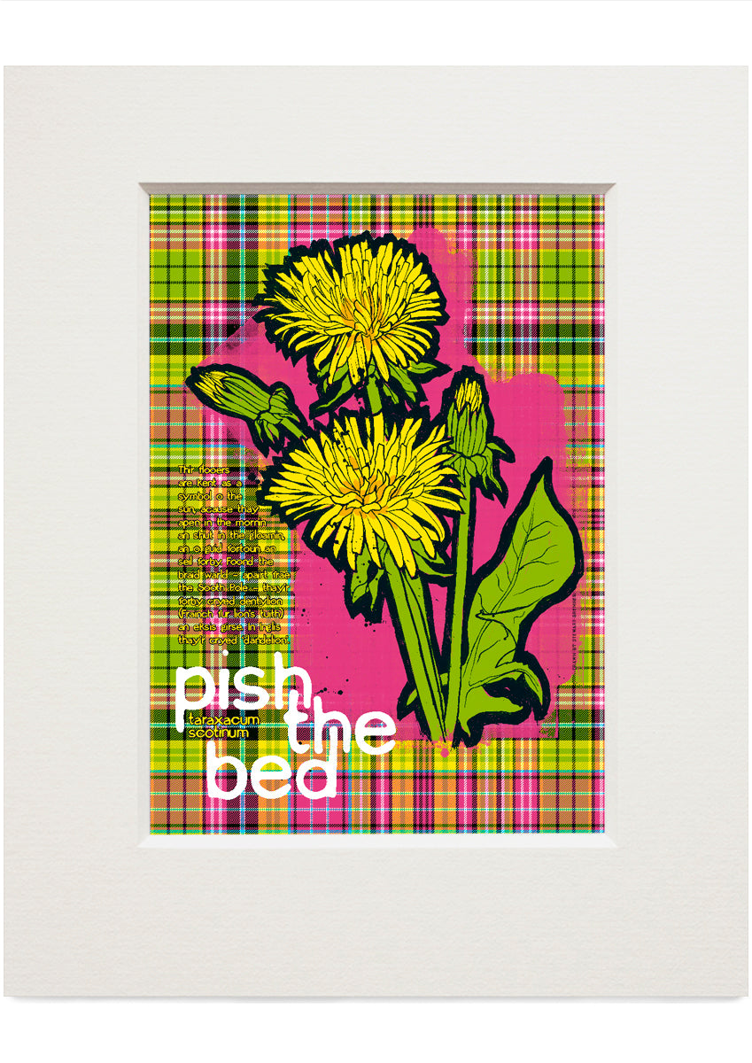 Pish the bed oan tartan – small mounted print