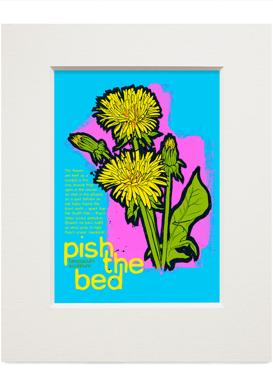 Pish the bed – small mounted print