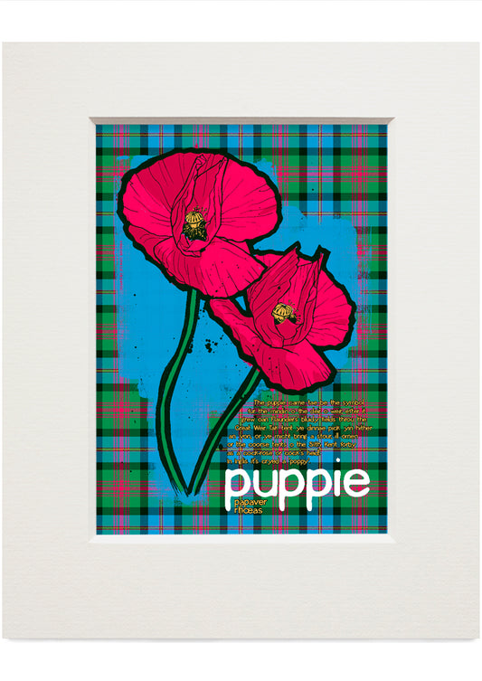 Puppie oan tartan – small mounted print