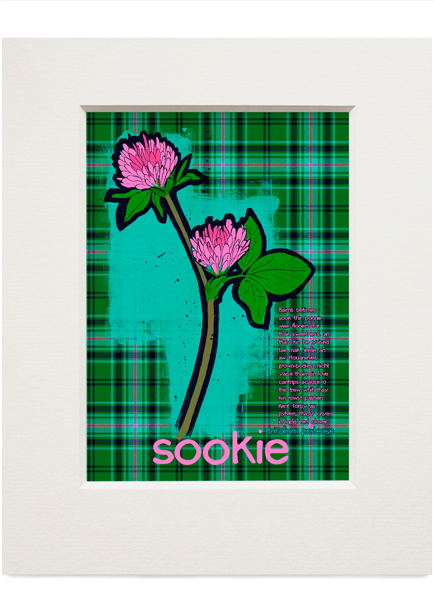 Sookie oan tartan – small mounted print