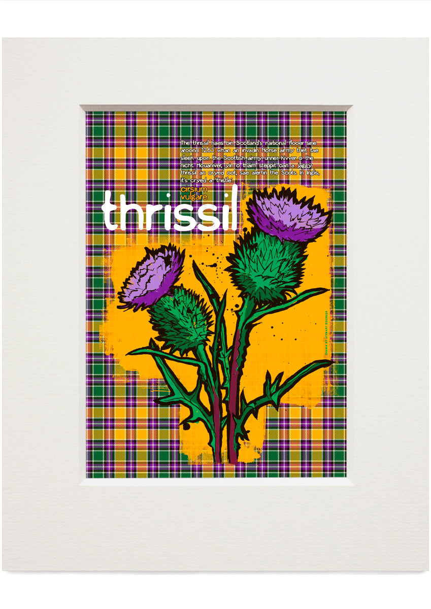 Thrissil oan tartan – small mounted print