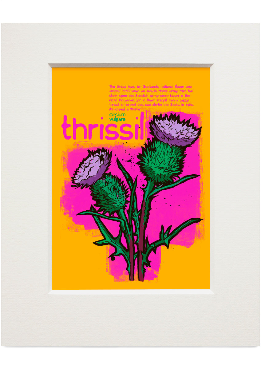 Thrissil – small mounted print